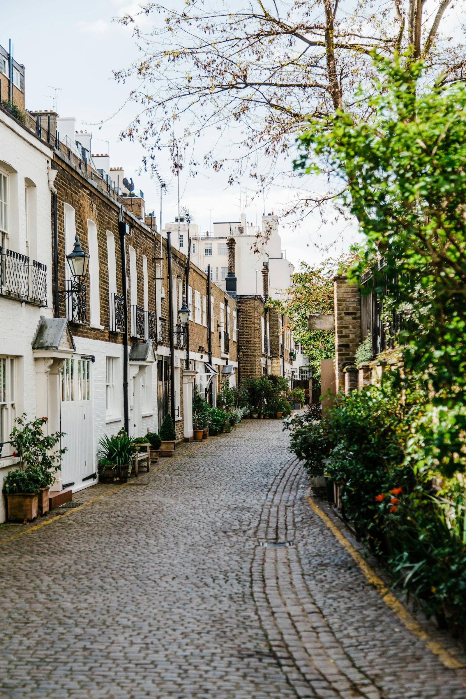 A quiet London street with autumn light